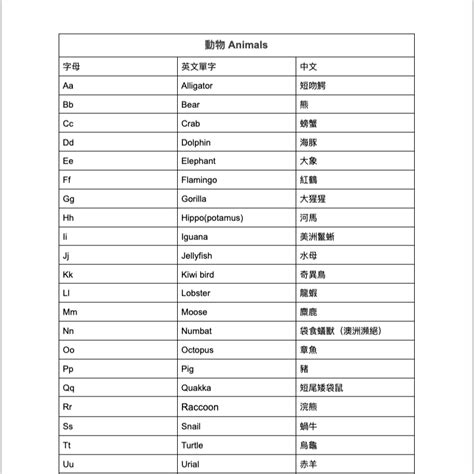 擺放|擺放的英文單字，擺放的英文是什麽